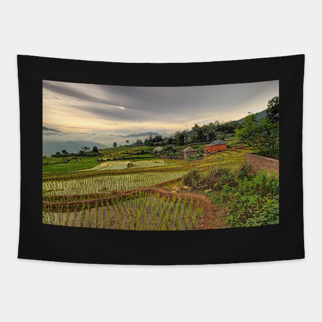 The Rice Terraces of Y Ty Tapestry by PeterH