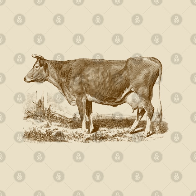 Jersey Cow Vintage Illustration by Biophilia