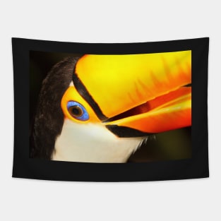 Detailed Portrait of a Toco Toucan at Iguassu, Brazil. Tapestry