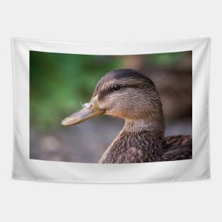 Mallard Profile Tapestry