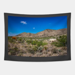 Criollo Cattle on the Open Range Tapestry