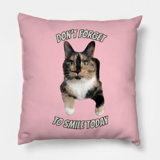 Snickers the smiling cat Pillow