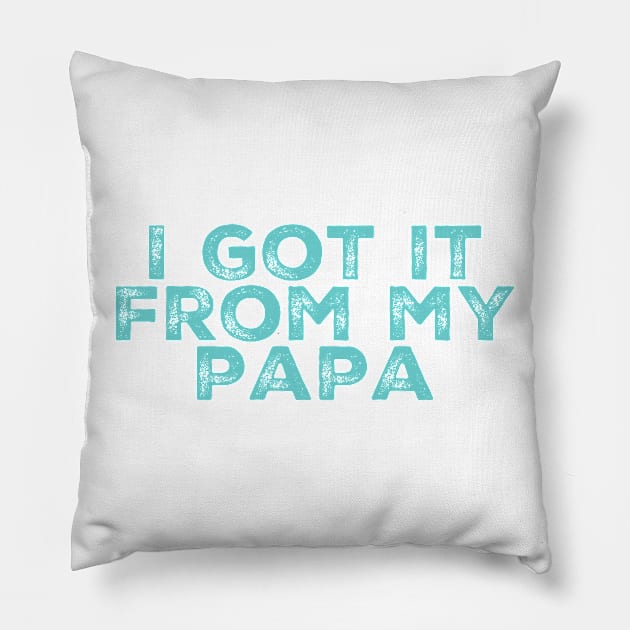 I Got It From My Papa Pillow by GrayDaiser