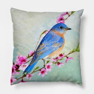 Male Bluebird Perched on Branch Pillow