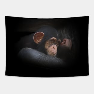 Baby chimpanzee Tapestry