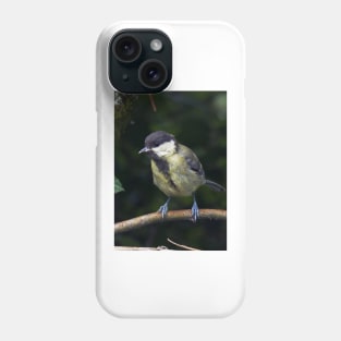 LE PANASONIC FZ 200 PAR OKAIO CRÉATION Phone Case