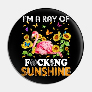 I'm A Ray Of Focking Sunshine Flamingo Lovers Pin