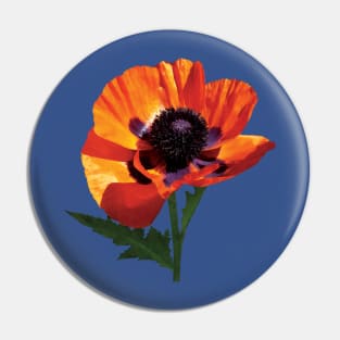 Oriental Poppy Pin