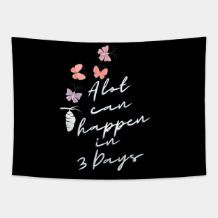 A lot can happen in three Days Tapestry