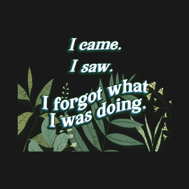 I came. I saw. I forgot. by SCL1CocoDesigns