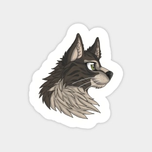 Gray-Brown Maine Coon Magnet