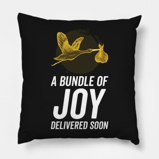 A Bundle of Joy Pillow