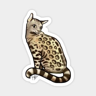 Cat - Bengal Cat - Tan Magnet