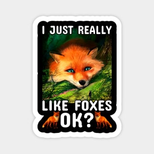 i just really like foxes ok Magnet
