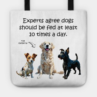 Experts agree dogs should be fed at least 10 times a day - funny watercolour dog design Tote