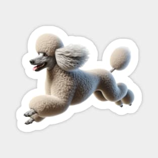 Poodle Magnet