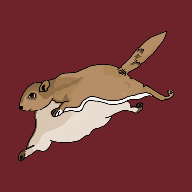 Flying Squirrel by imphavok