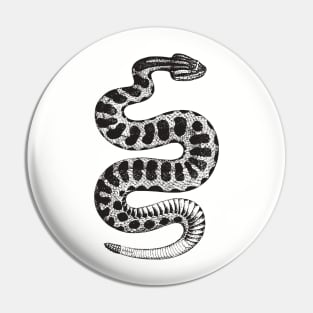 Vintage Rattlesnake Pin