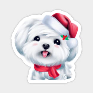 Cute Maltese Dog Drawing Magnet