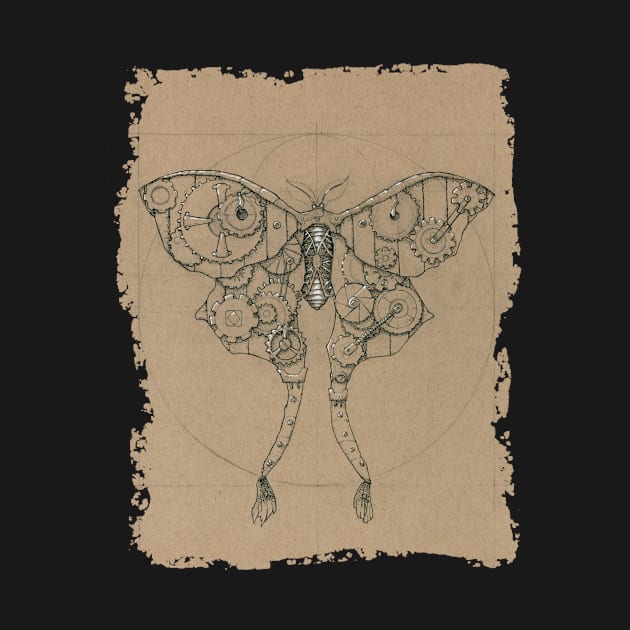 Steampunk Luna Moth (Parchment) by SamDeaconArt