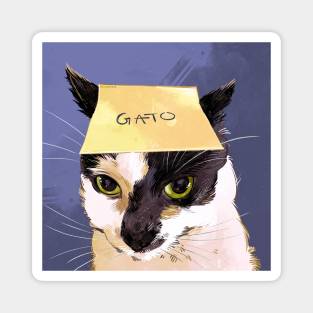 This is Gato Magnet