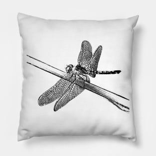 Dragonfly Pillow