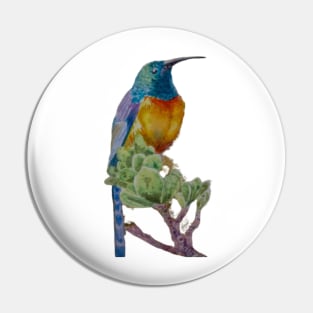 Orange Breasted Sunbird Hand Painted Pin