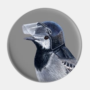 White wagtail Pin