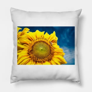 Sunflower With Bee 4 Pillow