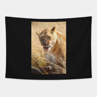 Lion at a Wildebeest Kill, Maasai Mara, Kenya Tapestry