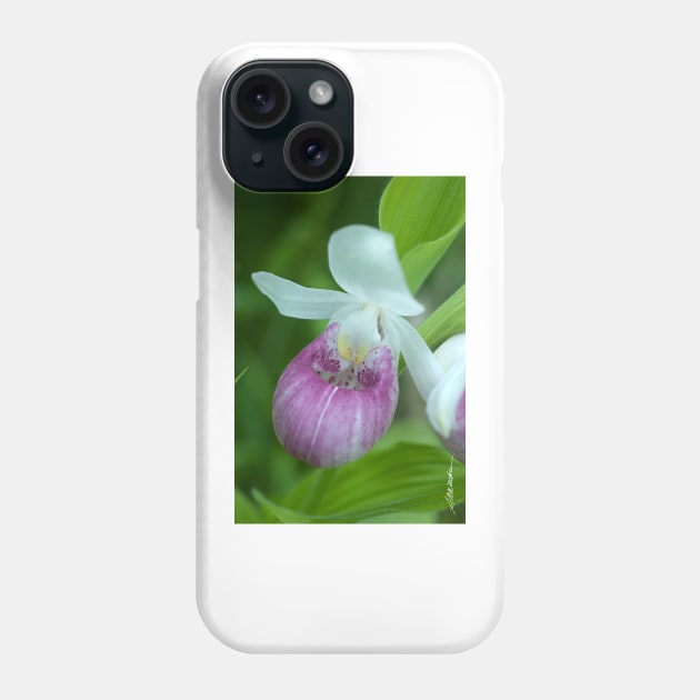 Showy Lady's Slipper Phone Case by srwdesign