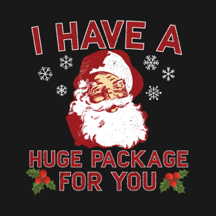 I Have A Huge Package For You T-Shirt