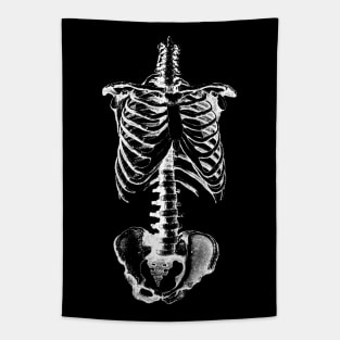 Skeleton drawing of ribs torso and pelvis Tapestry