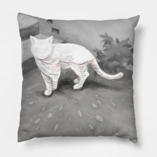 Calm Cat Pillow
