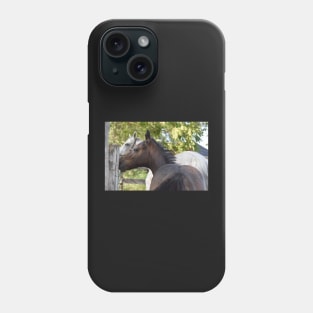 TB COLT Phone Case