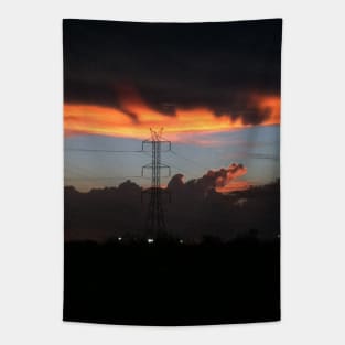 Baby alligator cloud Tapestry