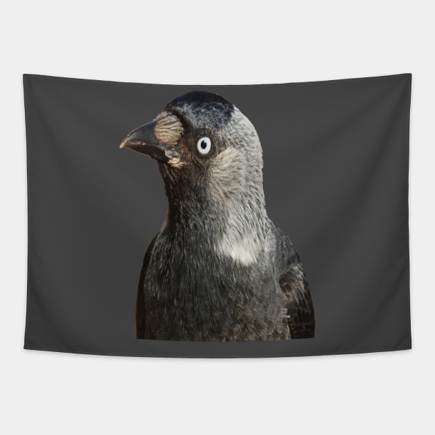 Side Profile Of A Beady Eyed Jackdaw Cut Out Tapestry by taiche