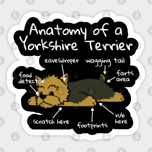 Anatomy Of A Yorkshire Terrier - Yorkshire Terrier - Sticker