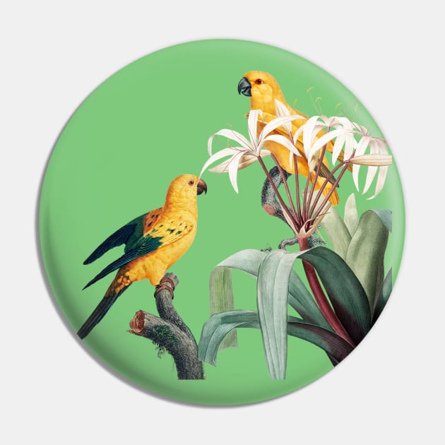 wild birds Pin by Brook_Bramble