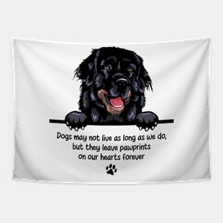 Dogs may not live as long as we do, but they leave pawprints  on our hearts forever Tapestry