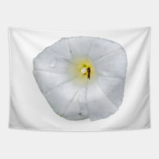 white flower and insect Tapestry