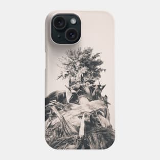 Date palm tree from below Phone Case