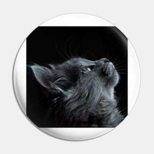 Gray Cat Pin