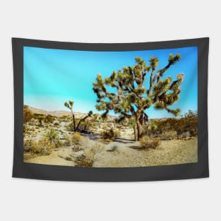 Joshua Tree National Park, California Tapestry