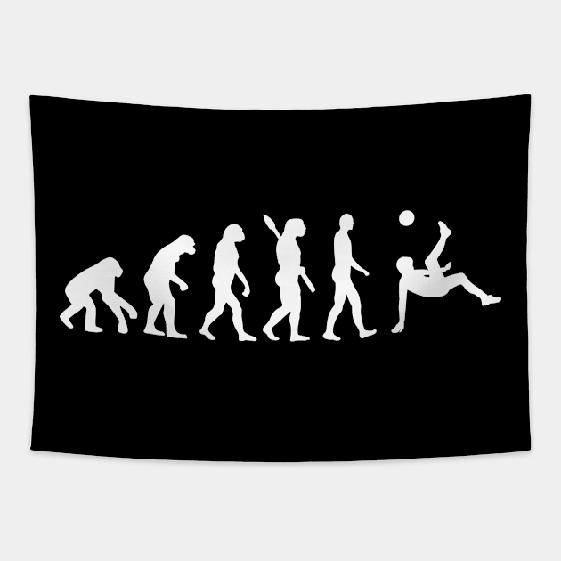 Evolution soccer Tapestry by Designzz