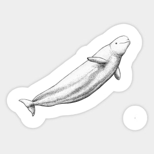 Polite Beluga Sticker for Sale by desigbyZEE