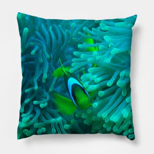 Clownfish Pillow