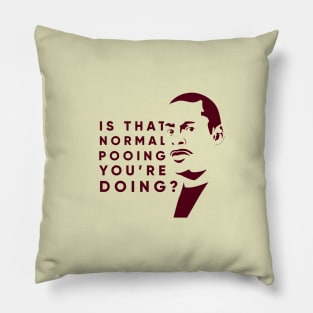 Is that normal pooing you're doing? Pillow