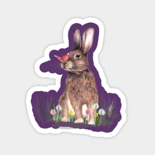 Rabbit And Butterfly Kiss Magnet