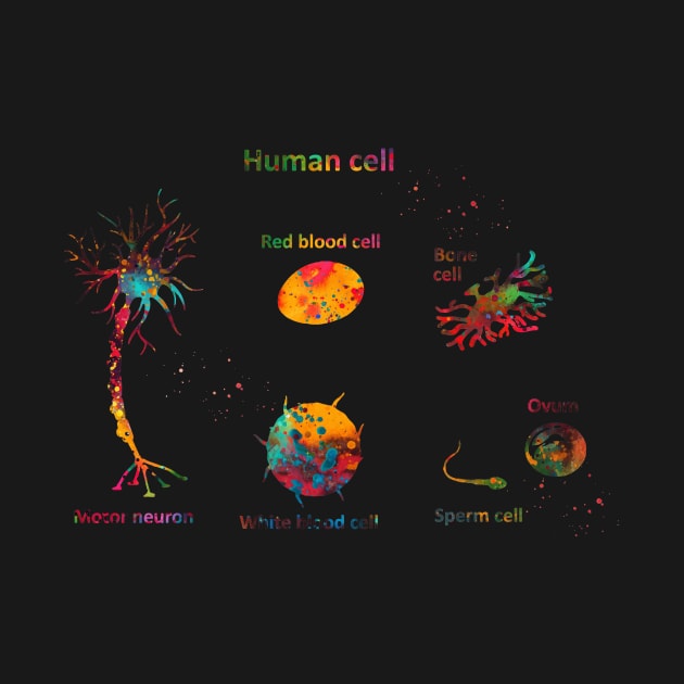 Human cell by erzebeth